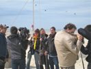 Cliquer pour agrandir